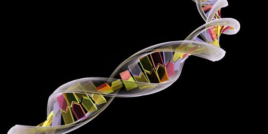 Pengertian Hingga Perbedaan DNA dan RNA